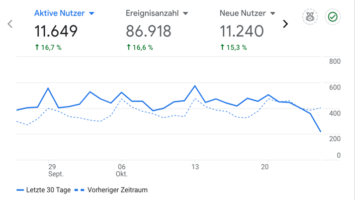 Analyse Ergebnis einer Website mit Google Analytics